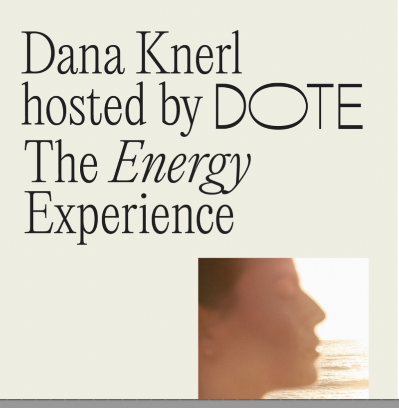 The Energy Experience with Dana Knerl